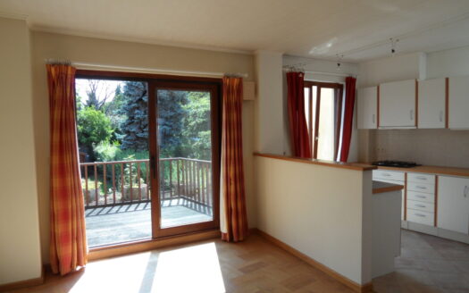 Appartement à louer  1 chambre 66 m², 985 €